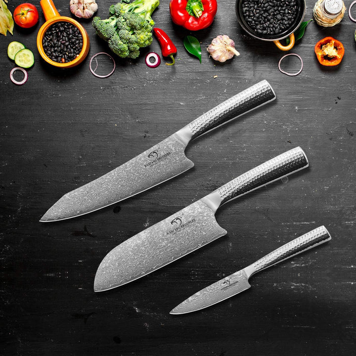 Damaskus Küchenmesser Set, Messerblocksets mit Kochmesser, Santoku Messer und Schälmesser, Professio