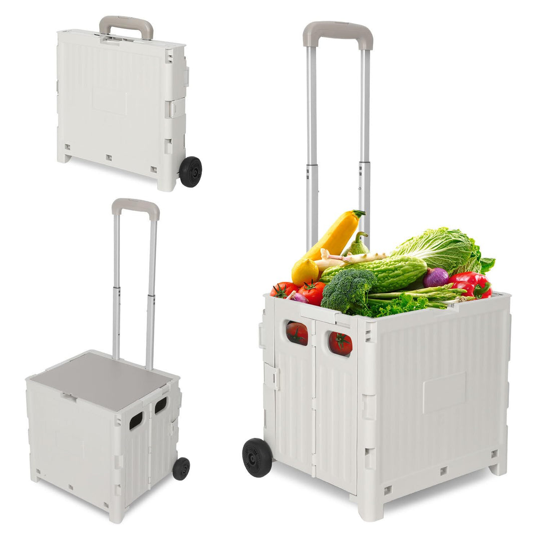 Einkaufstrolley 50 Liter mit 4 Rollen, 2 Bremsen, klappbar & stapelbar, bis 55kg belastbar, grosser