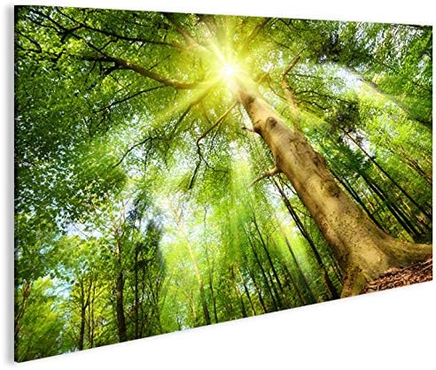 islandburner Bild Bilder auf Leinwand Leuchtender Wald Sonne Bäume 1p XXL Poster Leinwandbild Wandbi