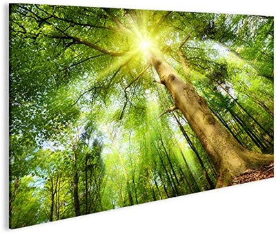 islandburner Bild Bilder auf Leinwand Leuchtender Wald Sonne Bäume 1p XXL Poster Leinwandbild Wandbi