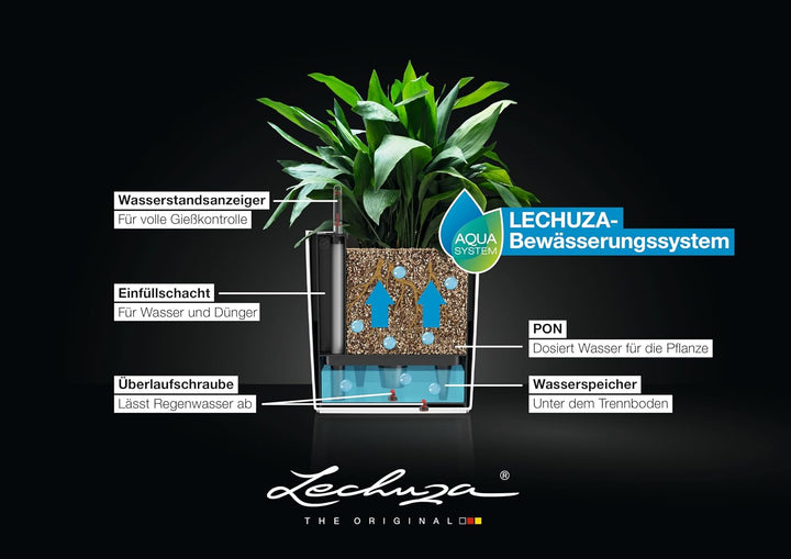 LECHUZA CUBE Premium 50 anthrazit metallic 16563 49x49x49.5 cm Anthrazit Metallic, 49x49x49.5 cm Ant
