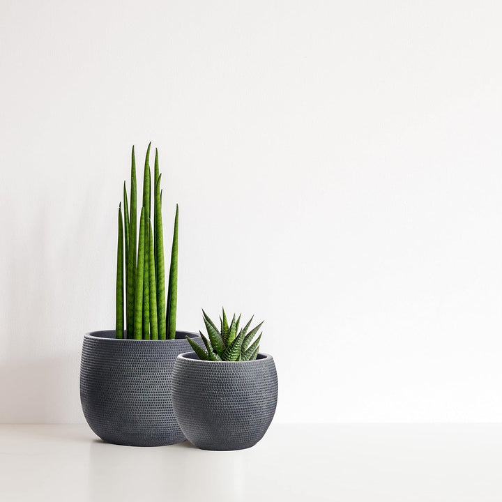 Olly & Rose Barcelona Keramik-Blumentopf-Set 2 – Pflanzgefässe für drinnen und draussen, Schwarz, Sc