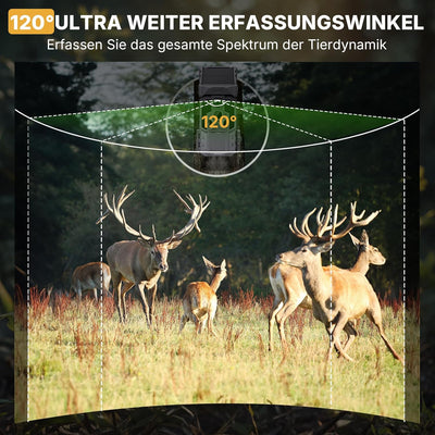 Wosports Wildkamera 1296P HD Wildtierkamera, 33MP WLAN Nachtsichtkamera mit Bewegungsmelder, 0,1 s A