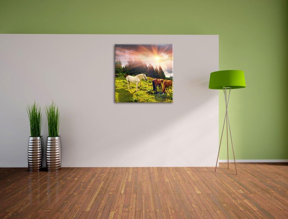 Pixxprint Carpathian Mustangs Pferde auf den Bergen, Format: 70x70 auf Leinwand, 70x70