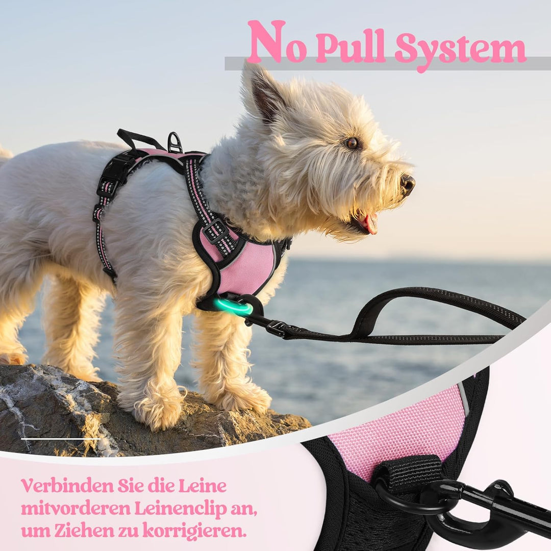 rabbitgoo Hundegeschirr Kleine Hunde Anti Zug Geschirr Hund mit Kontrolle No Pull Verstellbar Hundeg