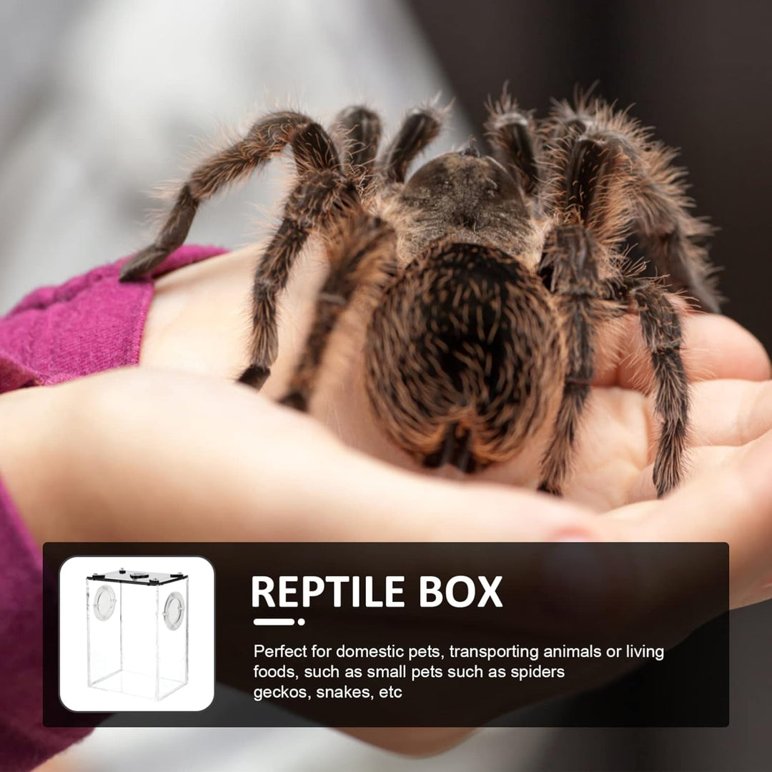 Hemobllo Springspinne Terrarium Set Acryl- -Terrarium: Transparente Reptilienzucht Springspinnen-Zuc