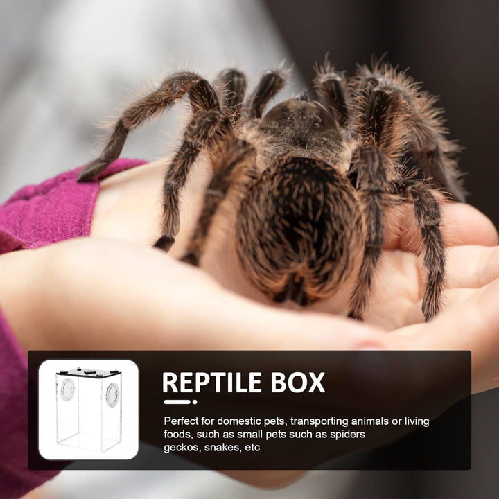 Hemobllo Springspinne Terrarium Set Acryl- -Terrarium: Transparente Reptilienzucht Springspinnen-Zuc