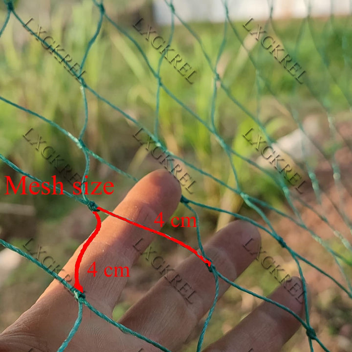 LXGKREL Volierennetz Geflügelnetz sehr robust mit Maschenweite 4cm Hühnernetz Geflügelzaun zur Ergäz