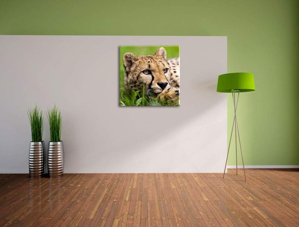 Pixxprint Gepard im Gras, Format: 70x70 auf Leinwand, XXL riesige Bilder fertig gerahmt mit Keilrahm