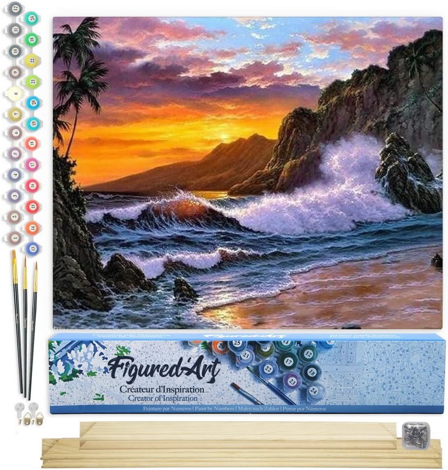 Figured'Art Malen Nach Zahlen Erwachsene Mit Rahmen Klippe und Wellen - Paint by Numbers Basteln DIY