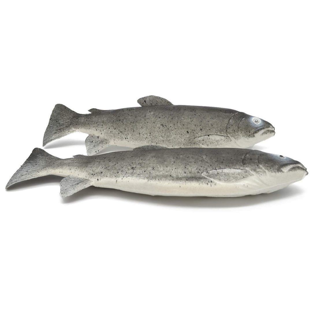 2 Deko-Forellen Attrappen aus Kunststoff Lebensmittelattrappe frischer Fisch Meeresfrüchte Fake