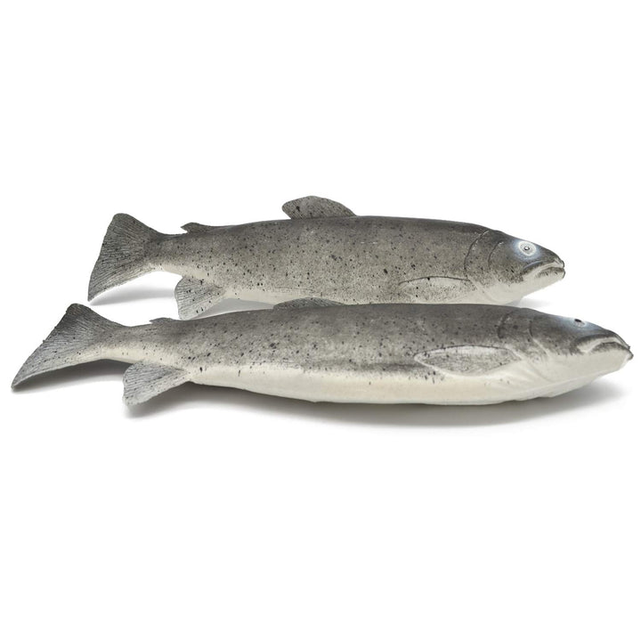 2 Deko-Forellen Attrappen aus Kunststoff Lebensmittelattrappe frischer Fisch Meeresfrüchte Fake