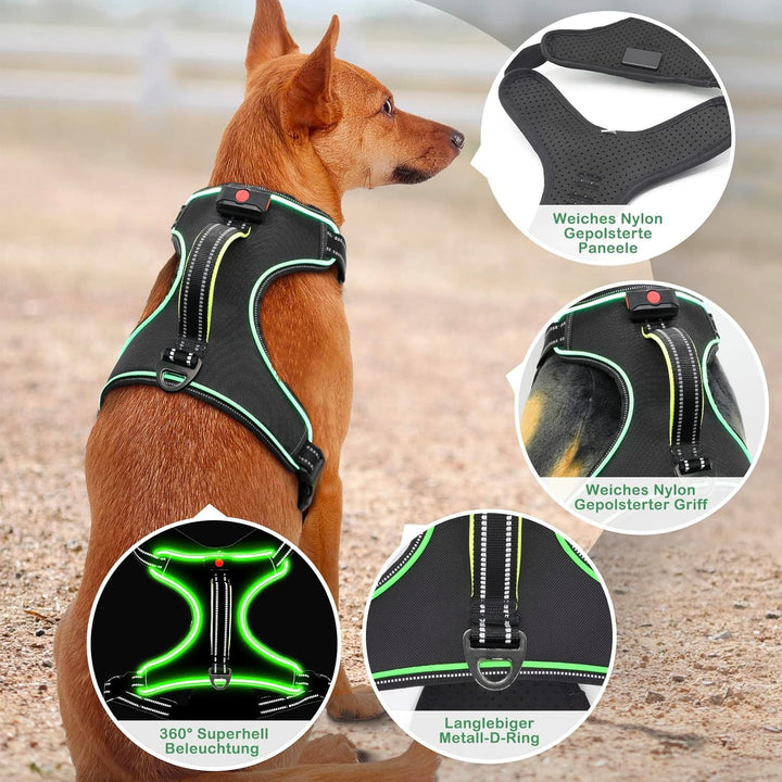 Hundegeschirr Leuchtend Wiederaufladbares Leuchtgeschirr für Hunde Led Beleuchtetes Hundegeschirr fü