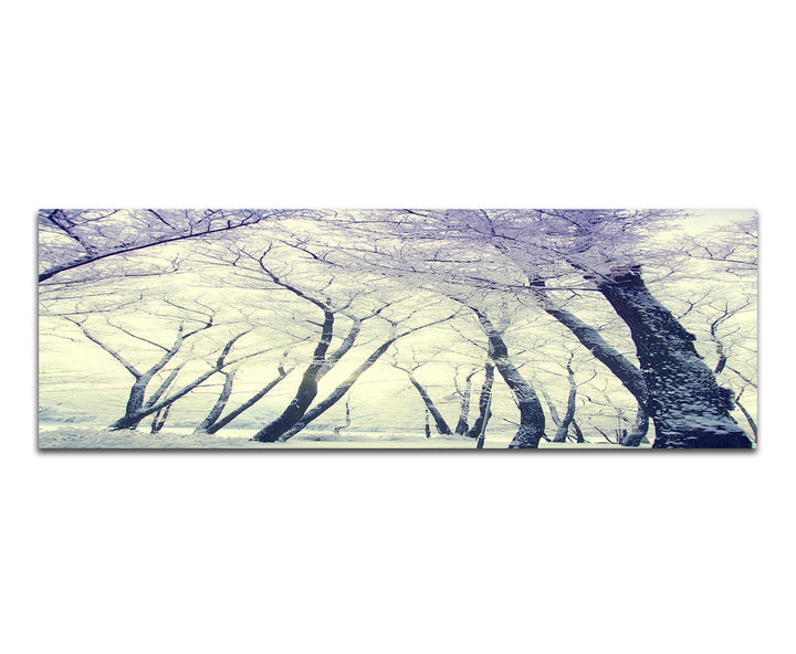 Paul Sinus Art Panoramabild auf Leinwand und Keilrahmen 150x50cm Winterwald Bäume Schnee