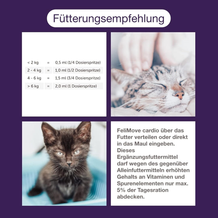 FeliMove dental - Liquid für Katzen mit Vitalpilzen, Propolis, EPA und Zink (auch bei FORL, Entzündu