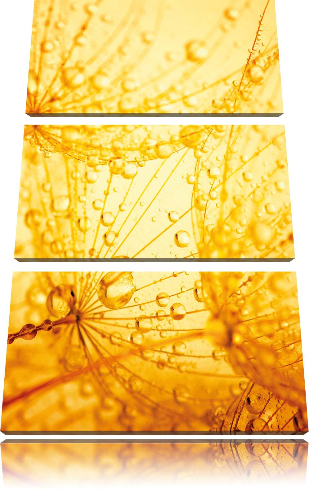 Pixxprint Pusteblumen Schirmflieger mit Tau 3-Teiler Leinwandbild 120x80 Bild auf Leinwand