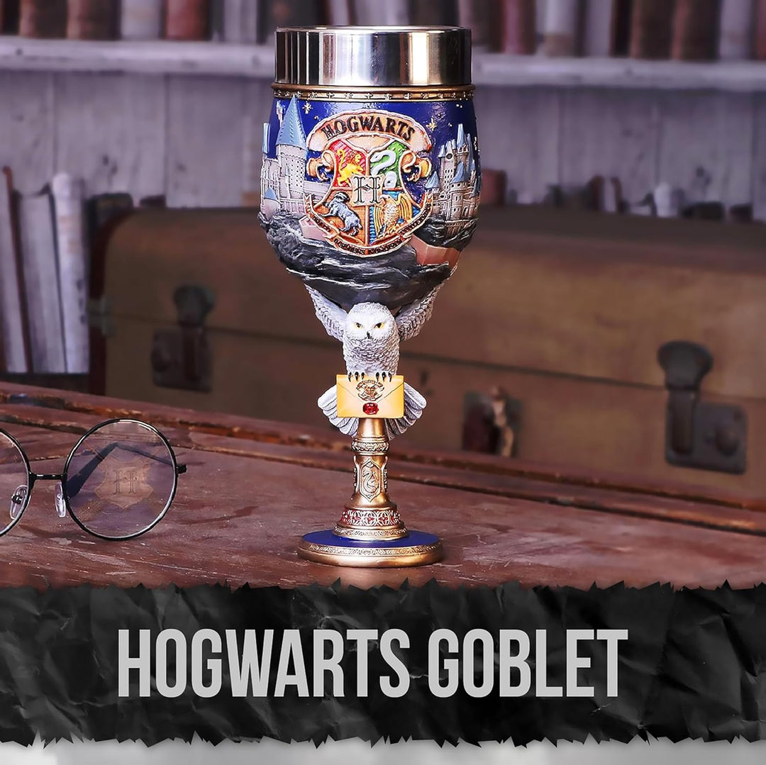 Nemesis Now Collectable Goblet Harry Potter Hogwarts School of Witchcraft and Wizardry Kelch zum Sam