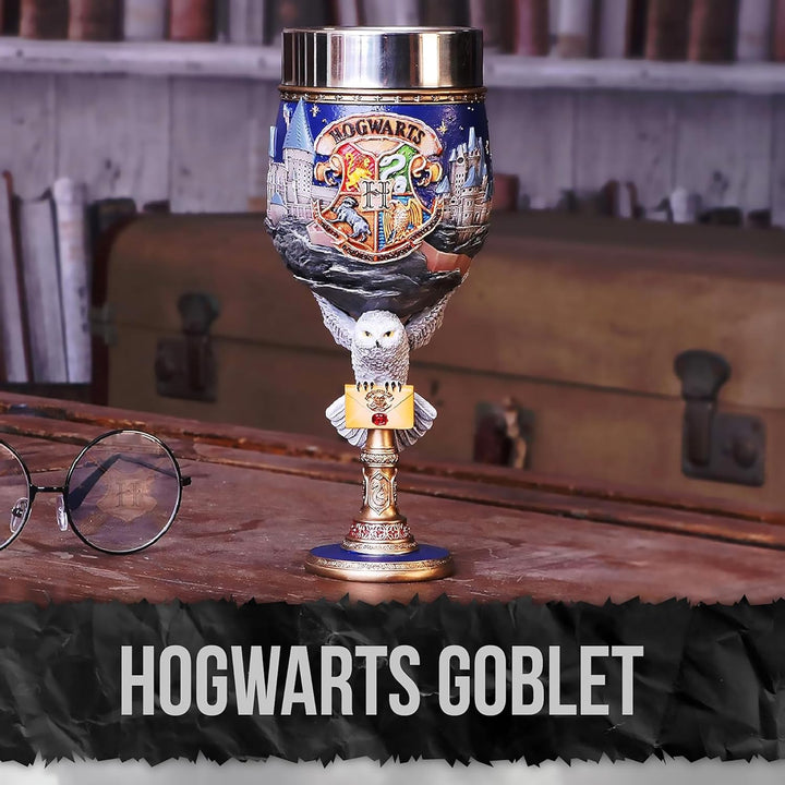 Nemesis Now Collectable Goblet Harry Potter Hogwarts School of Witchcraft and Wizardry Kelch zum Sam