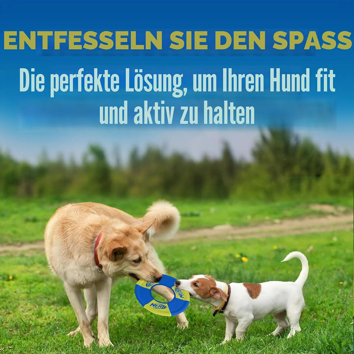 Nerf Dog Toss and Tug Ring Hundespielzeug, Fliegende Scheibe, leicht, langlebig und wasserabweisend,
