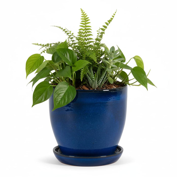 Teramico Pflanzgefäss Übertopf Blumentopf aus Steinzeug Blau mit passendem Teller/Untersetzer 23cm -