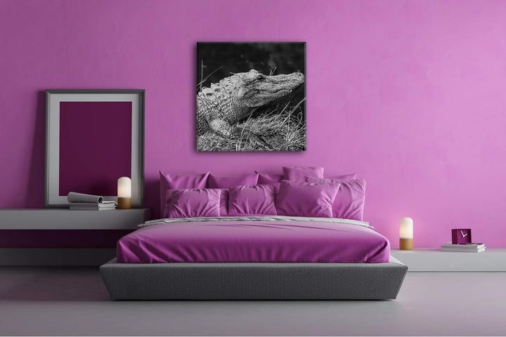 deyoli ruhiger Alligator Format: 70x70 Effekt: Schwarz&Weiss als Leinwandbild, Motiv fertig gerahmt