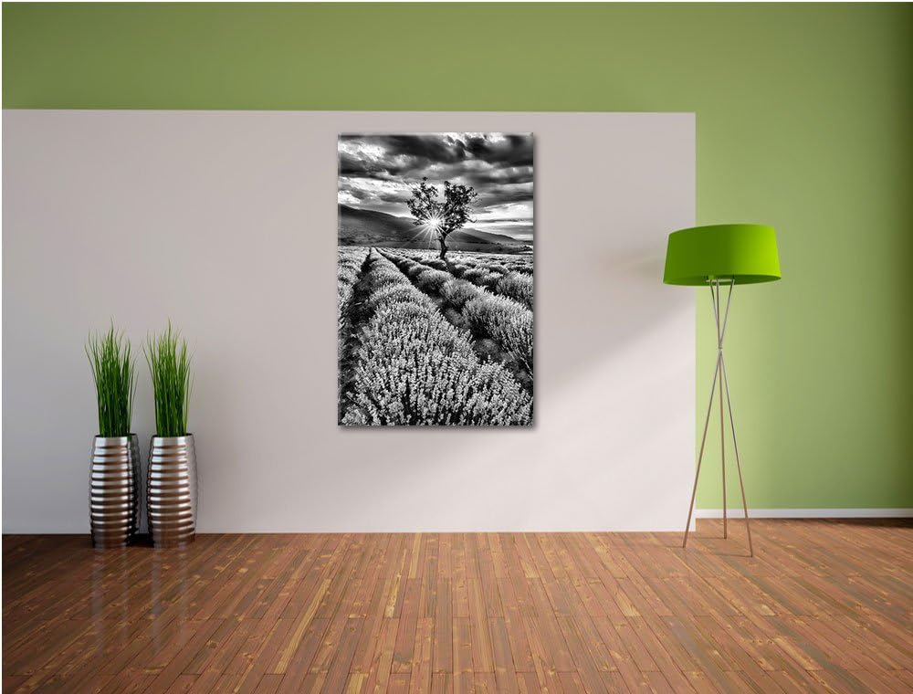 Pixxprint Monocrome, Traumhafte Lavendel Provence mit einsamen Baum, Format: 100x70 auf Leinwand, XX