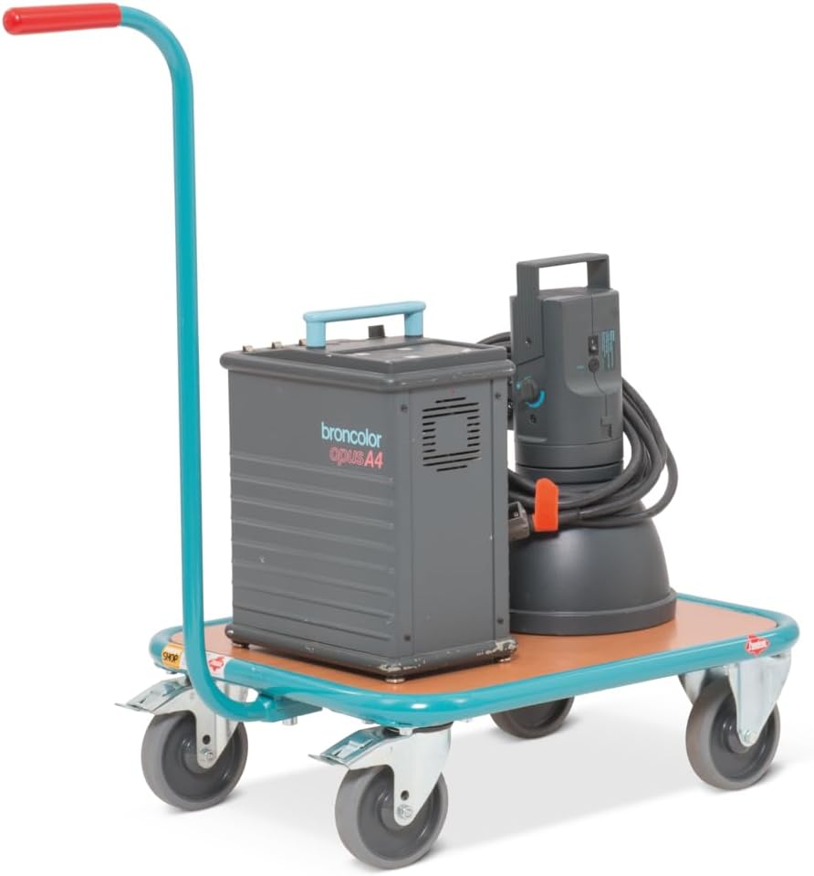Ameise Griffroller | 250 kg Tragkraft | HxBxT 87,4 x 50 x 60,5 cm | demontierbarer Griff | 4 TPE-Rol