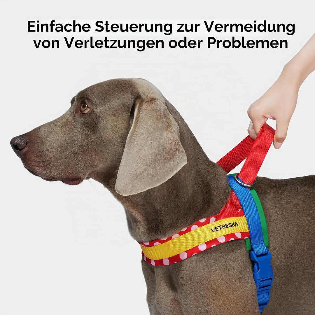 VETRESKA Hundegeschirr für kleine, mittelgrosse und grosse Hunde Kein Ziehen, Welpengeschirr und Lei