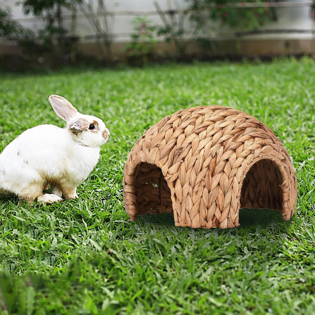 Meerschweinchenhaus 2.5 X 2.5 X 1.8 cm Kaninchennest Natürliches Kaninchen-Rohrkolben-Hausmatte Hand