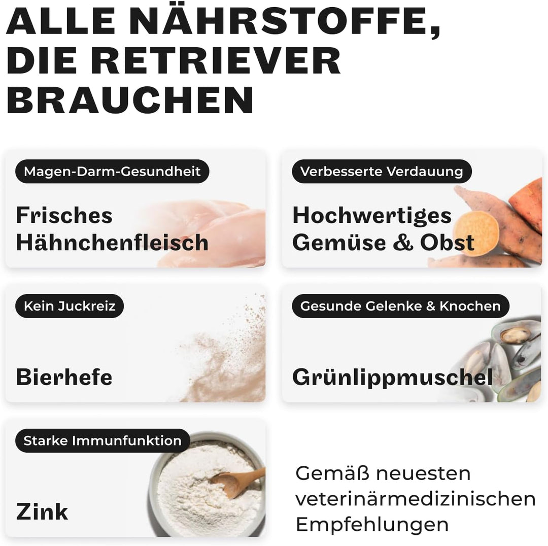HEY HOLY – Happy Herders Trockenfutter – Premium Trockenfutter für ausgewachsene Hunde mit 40% Huhn