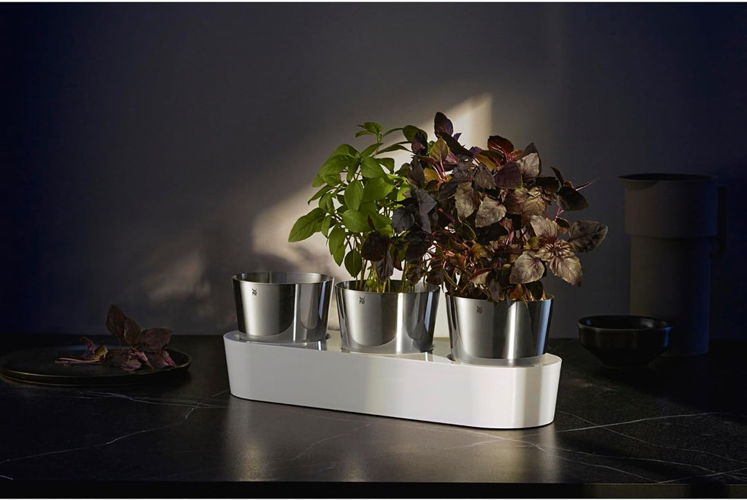 WMF Gourmet Kräutertopf mit Bewässerungssystem 3-teilig, Kräutergarten für die Küche, 36x 12,5x 12,5