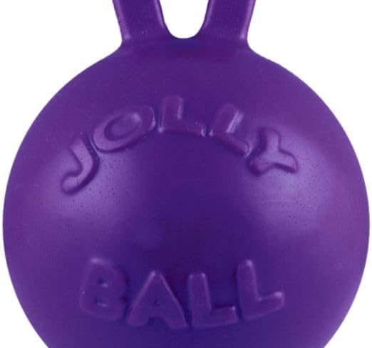 Jolly Pets Tug-n-Toss Robuster Hundespielzeugball mit Griff, 11,4 cm/klein, Violett 4.5 Inches/Small