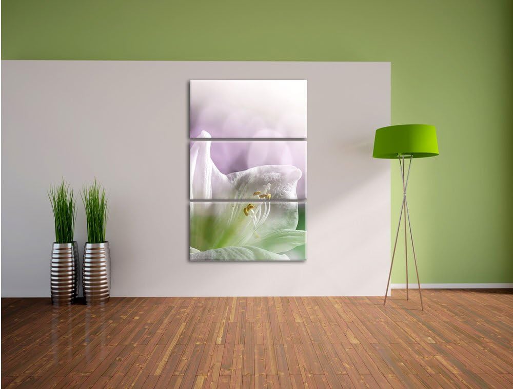 Pixxprint Einzigartige Sphynx Katze als Leinwandbild/Grösse: 3 Teilig (120x80) / Wandbild/Kunstdruck