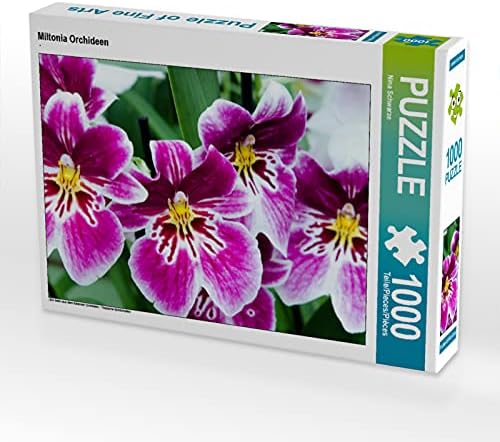 CALVENDO Puzzle Miltonia Orchideen - 1000 Teile Foto-Puzzle für glückliche Stunden, 1000 Teile