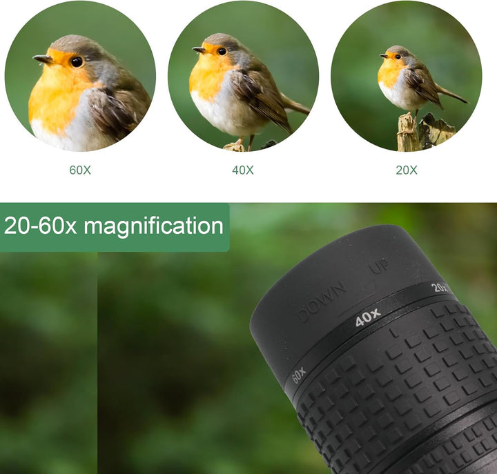 Spektiv Vogelbeobachtung 20-60x80, HD IPX7 Wasserdicht Spektive mit Stativ Smartphone Adapter, FMC O