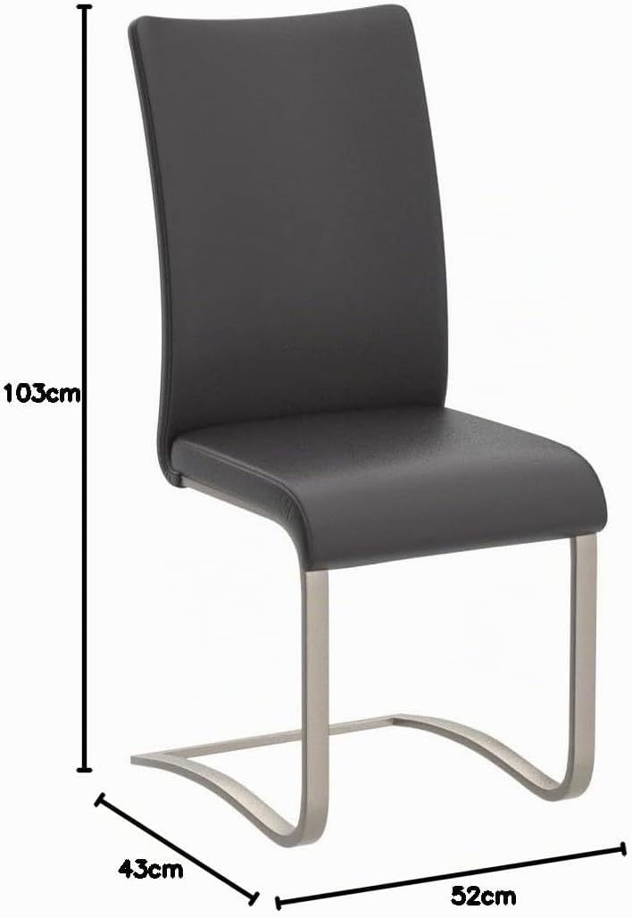 Robas Lund Esszimmerstuhl Leder Schwarz 2er Set, belastbar bis 130 kg, Schwingstuhl mit Rindsleder,