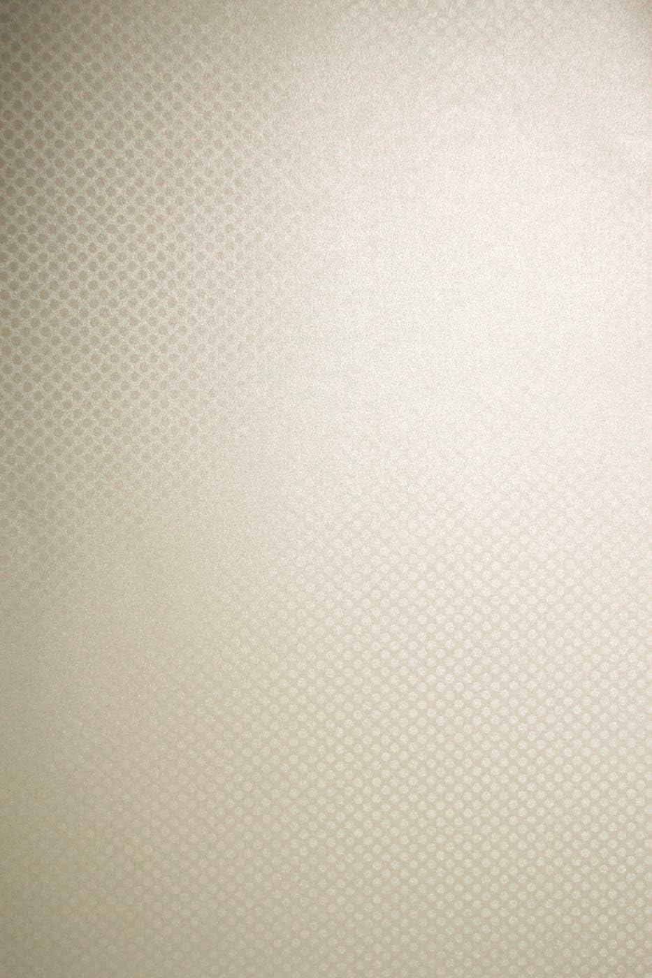 Netuno 100x Bastelkarton Perlmutt-Creme DIN A4 210x 297 mm 250g Aster Metallic Crem Dots Perlmuttkar