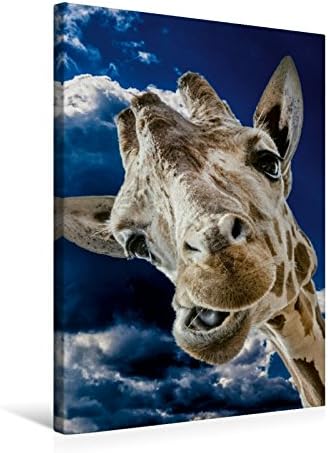 Premium Textil-Leinwand 50 x 75 cm Hoch-Format Giraffe | Wandbild, HD-Bild auf Keilrahmen, Fertigbil