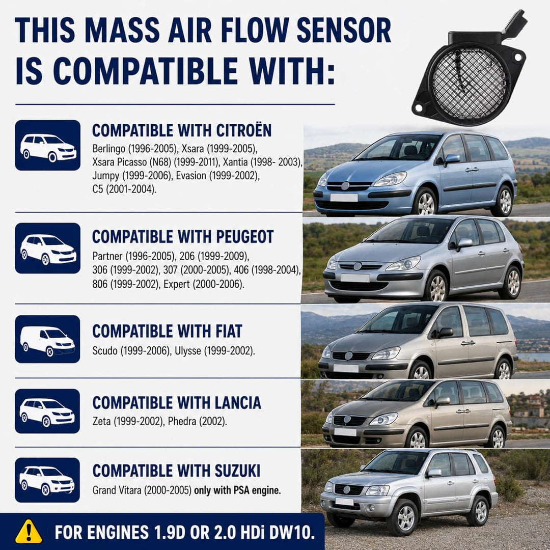 Twowinds Luftmassenmesser 5Wk9621 Berlingo Jumpy Xantia Xsara 306 307 406 Scudo Luftmassenmesser