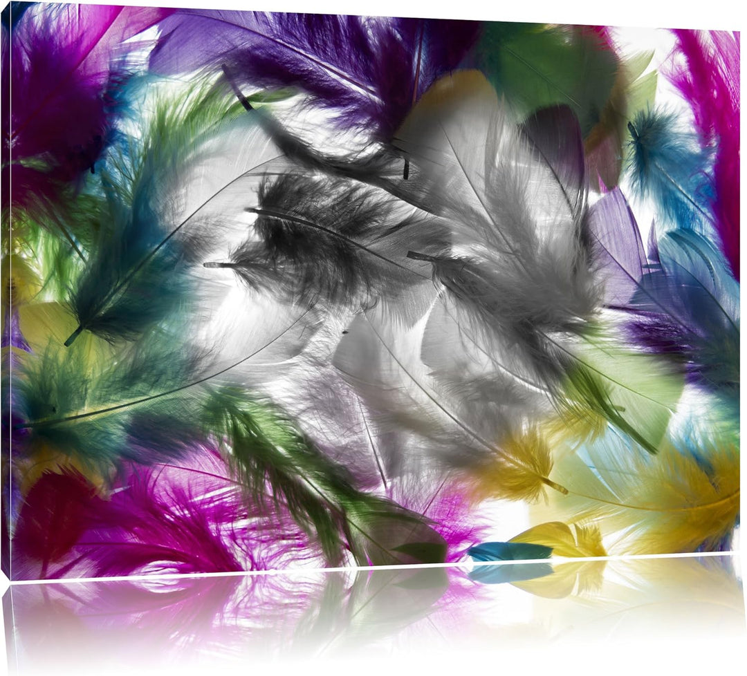 Pixxprint Anordnung von Federn als Leinwandbild/Grösse: 100x70 cm/Wandbild/Kunstdruck/fertig bespann