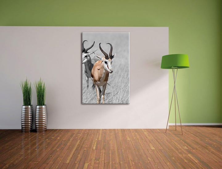 Pixxprint Tiere in Savanne, Rehe, Afrika als Leinwandbild/Grösse: 120x80 / Wandbild/Kunstdruck/ferti