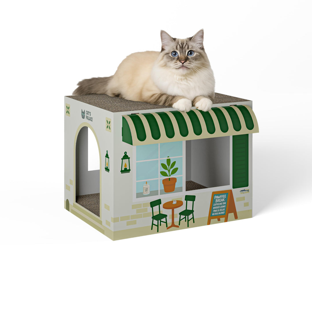 Cat's Palace Katzenhaus Coffeecat Café aus Pappe – Katzenhöhle mit Kratzbrett | Kratzmöbel & Rückzug