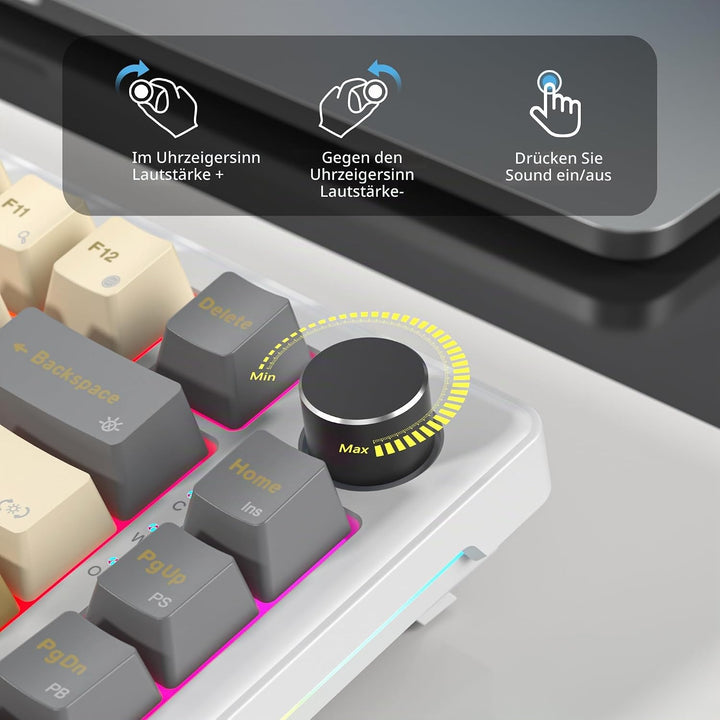 SOLIDEE Verkabelte Mechanische Gaming Tastatur 75 Prozent, Hot-Swap-Fähig Mit Gasket Struktur, RGB H