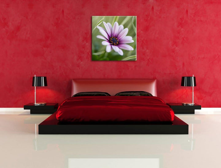 Pixxprint Blume in der Natur als Leinwandbild/Grösse: 70x70 cm/Wandbild/Kunstdruck/fertig bespannt,