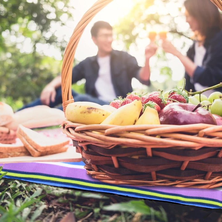 DETEX® Picknickdecke Campingdecke XXL 200x200 cm Wasserdicht Wärmeisoliert Waschbar Fleece Faltbar f