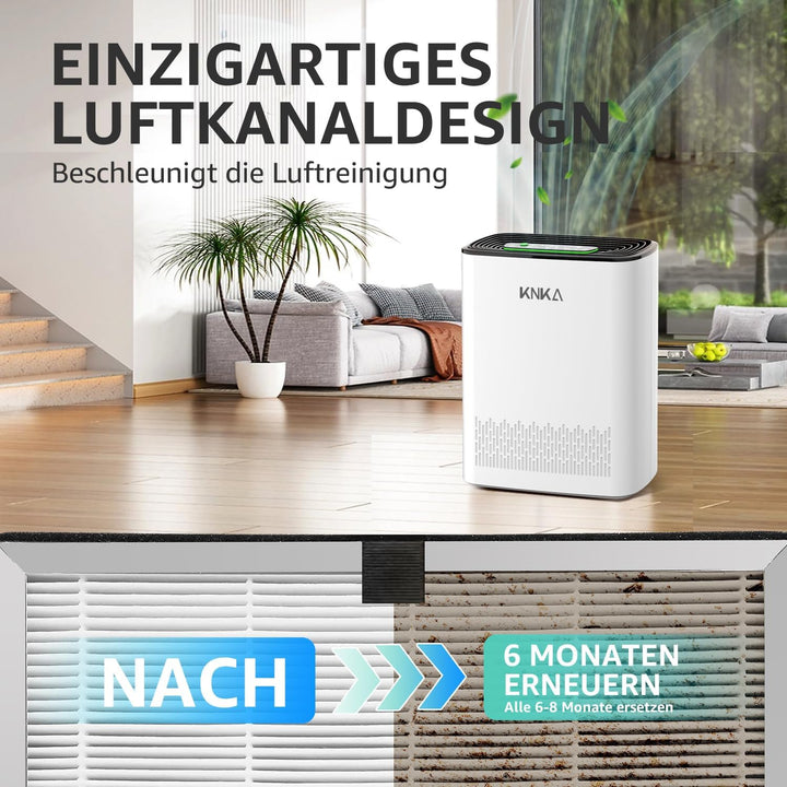 KNKA Ersatzfilter für APH3000 Luftreiniger, 2er Pack HEPA & Aktivkohle Kombifilter, Entfernt 99,97%