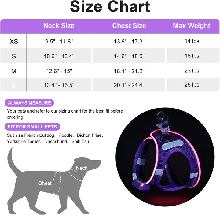 Leuchtend Hundegeschirr LED Aufladbar - Leuchtgeschirr Leuchtendes &amp; Reflektierendes für Welpe Klein