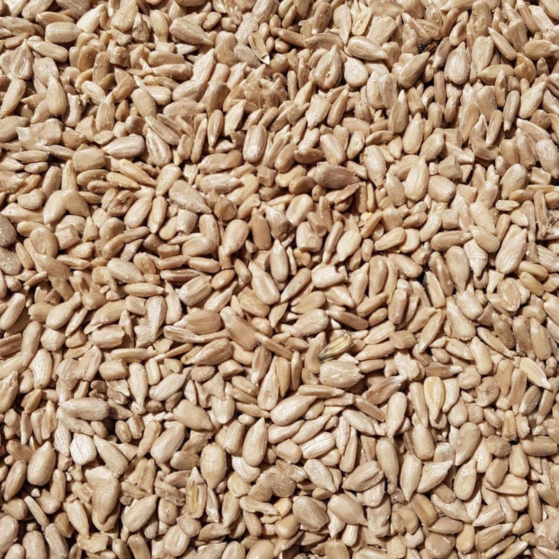 SUPRAVIT Sonnenblumenkerne Vogelfutter 25kg geschält I Frische ölhaltige Kerne aus besten Anbaugebie