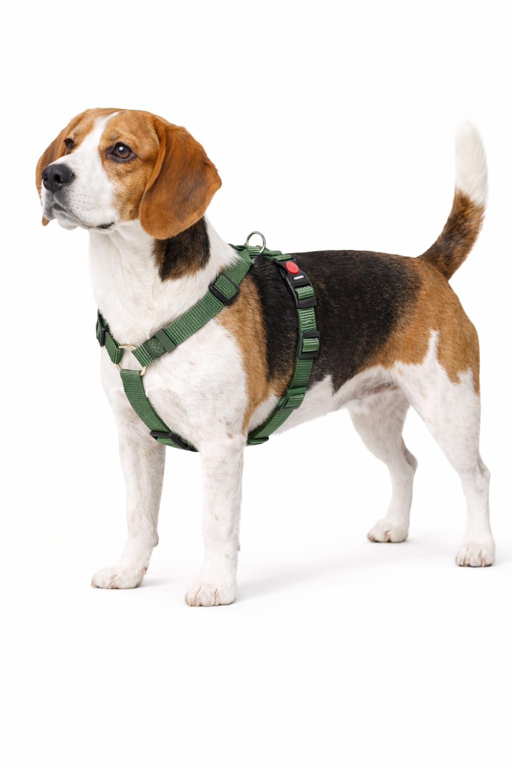 hundegeschirr - ziggi kaki H-Form - grösse M - 45-65 cm / 55-70 cm - 20 mm - Nylon hundegeschirr ver