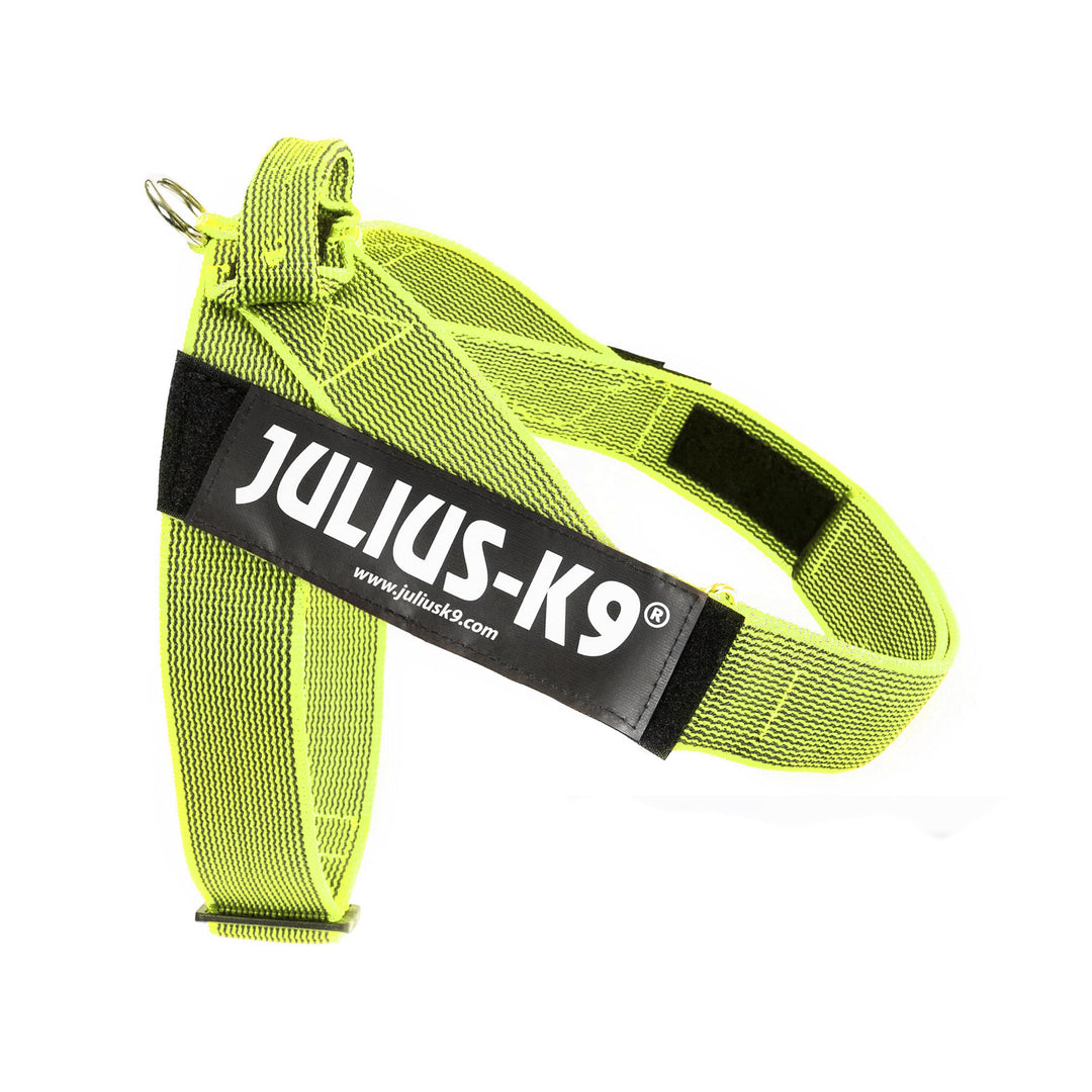 Julius-K9, Color & Gray, Beltgeschirr XL / 2 neon-grau, XL / 2 neon-grau